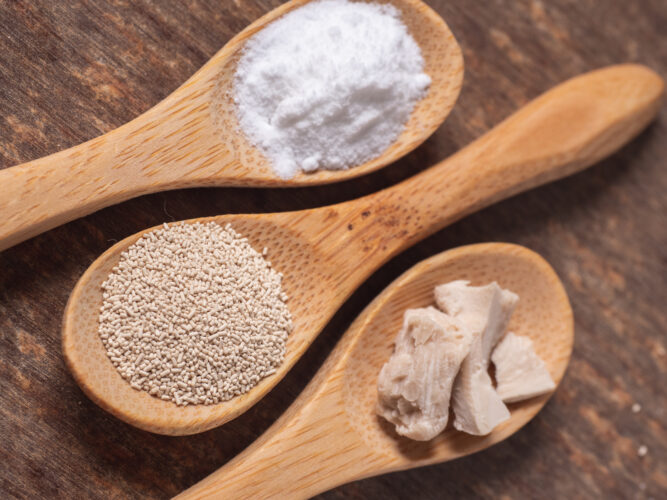 Choose the Right Leavening Agent for Bread